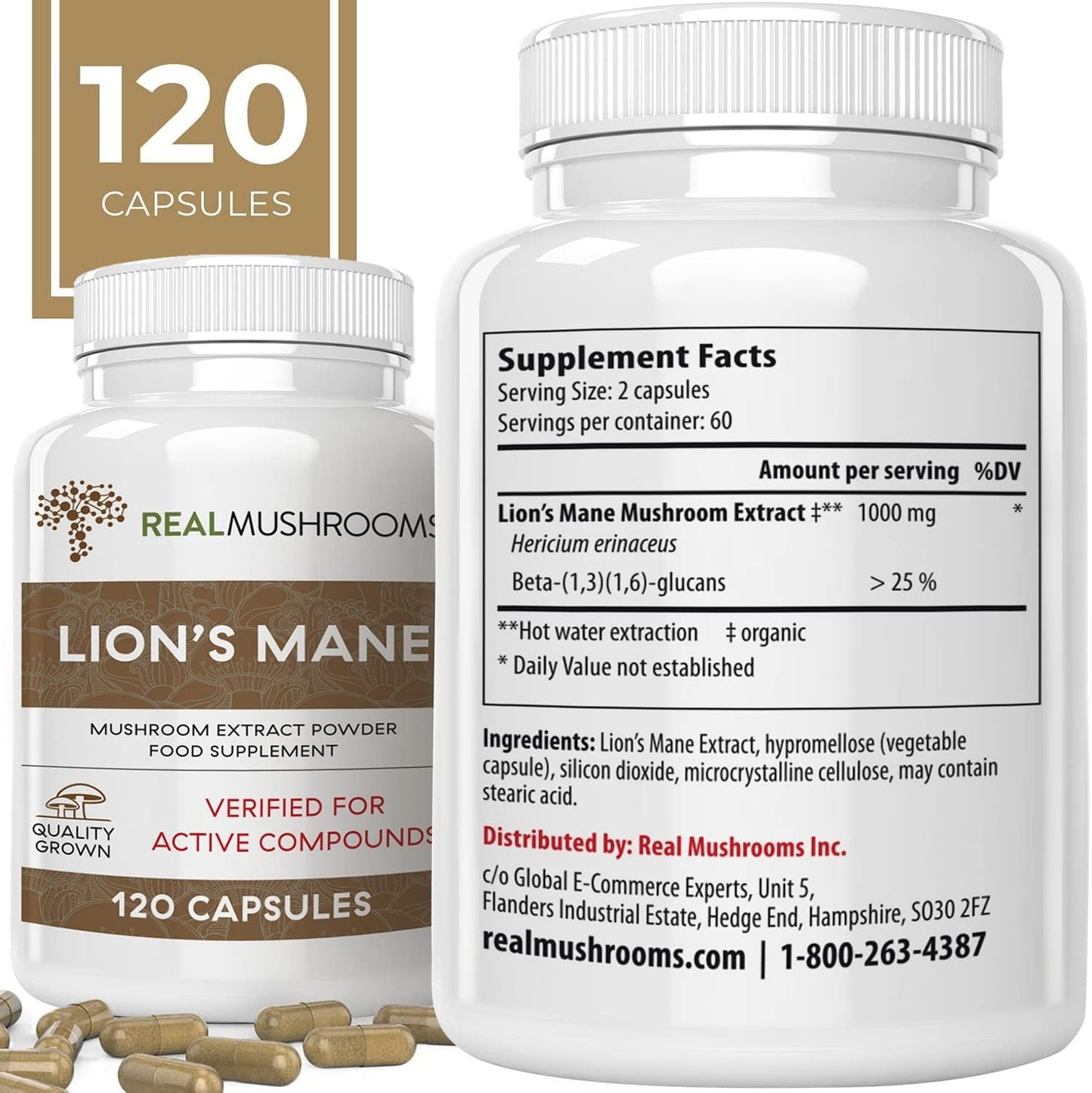 Lions Mane Brain and Focus Supplements - Mushroom Powder Extract Capsules - Non GMO and Gluten Free Supplement for Better Cognitive Health (120Ct)