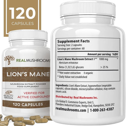 Lions Mane Brain and Focus Supplements - Mushroom Powder Extract Capsules - Non GMO and Gluten Free Supplement for Better Cognitive Health (120Ct)